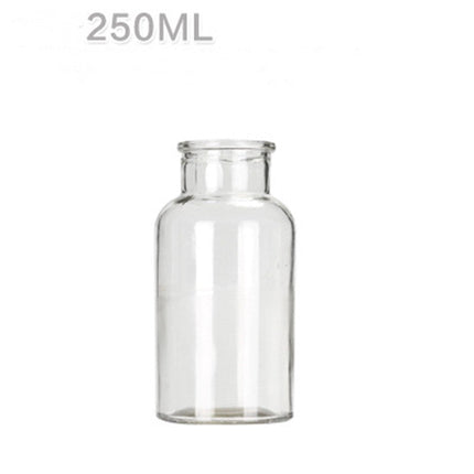 Hydroponic Plant Glass Bottle Living Room Decorations