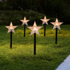 One for five fivepointed star / Solar type