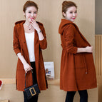 Caramel colour / L