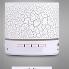 white / Plug