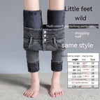 Fleece Smoky Gray Ninth Pants / 25
