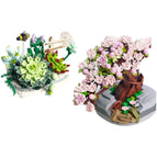 Cherry blossom and succulent / No accessories