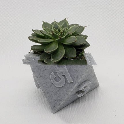 3D Printed Plant Pot Table Top RPG Dice Succulent Planter Set Home Decoration Multifunction Garden Flower Pot