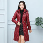 Wine Red / L