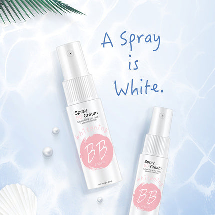 Portable Moisturizing Cream Moisturizing Air Cushion BB Cream
