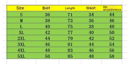 Women's Plus Size Skirt Bikini Printed Swimsuit