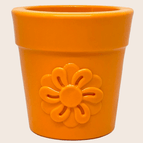 Orange Flower Pot
