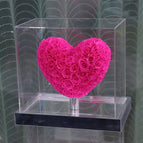 Full Flower Rose Red