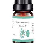 Eucalyptus Essential Oil