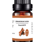 Cinnamon Essence Oil