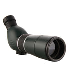 15 45X60 Bevel Green