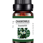 Chrysanthemum Essential Oil