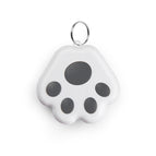 Dog's Paw Gray