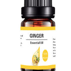 Ginger Essential Oil