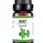 Mint Essential Oil
