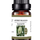 Cajeput Essential Oil