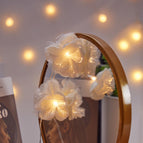 Warm White / 2 M 10 Lamp Battery