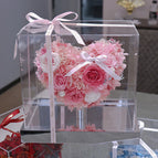 Pink Hydrangea