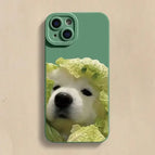 Green / For iPhone 11