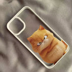 Style 2 / For iPhone 12
