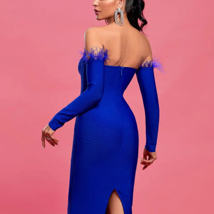 Long Sleeve Feather Women's Clothing Dress