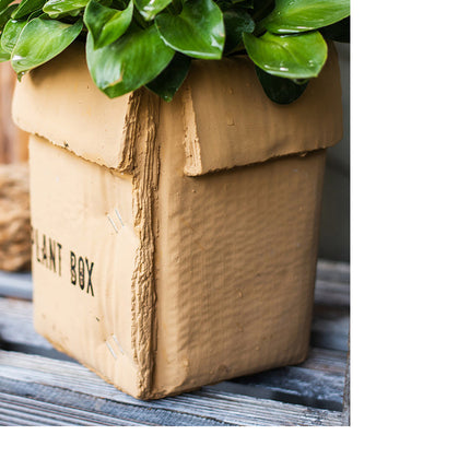 Cement Brown Paper Box Flowerpot Creative Planting Indoor Balcony