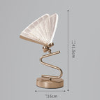 Transparent / Monochromatic warm light