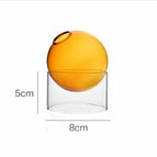 Orange / Short