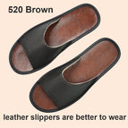 520 Brown / 24