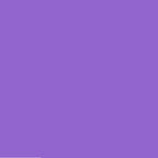 Purple / 70x100cm