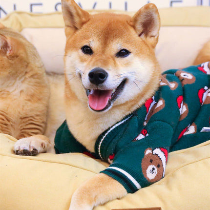 Sweater Dog Festive Festival Red New Year Greeting
