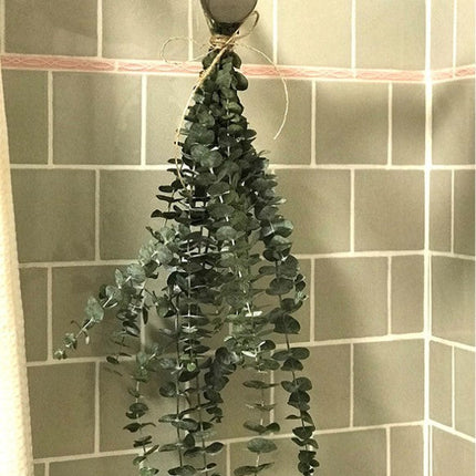 Bath Home Decor Natural Dried Flowers Lavender Immortal Eucalyptus Leaves