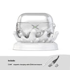Earphone Case With Base / Apple Interface