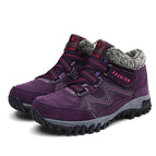 Purple / 35