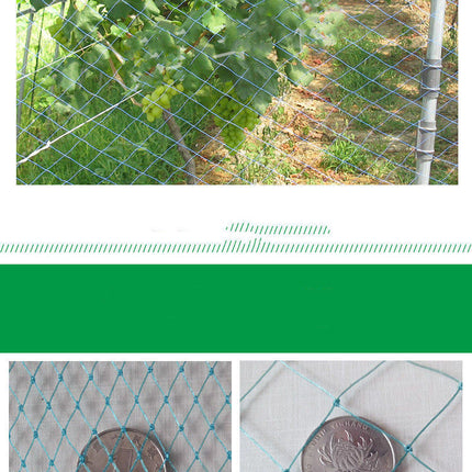 100m Poultry Chicken Netting Fence Chicken Netting Netting