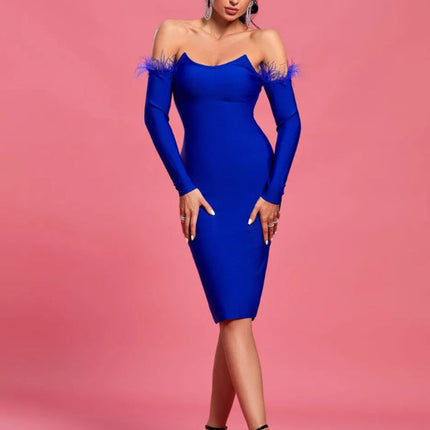 Long Sleeve Feather Women's Clothing Dress