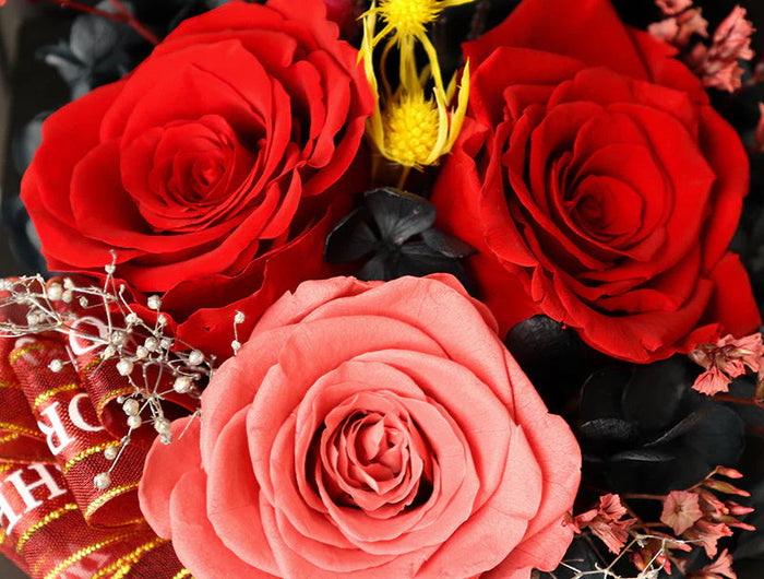 <h1>The perfect gifts</h1>