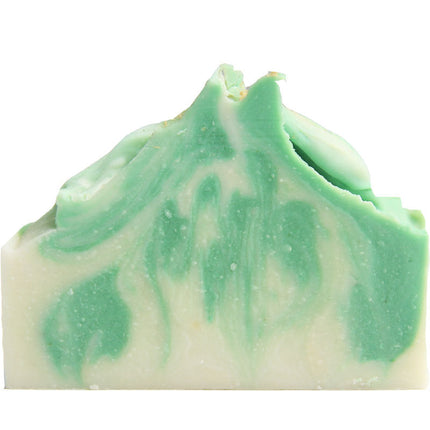 North American Breeze Aloe Vera Oil Washing Hand Soap