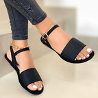 Black / 35