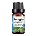 Eucalyptus / 10ML