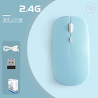 Blue / Rechargeable