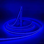 Blue light golden light / DC 12V 8wide320D