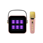 Pink / Double Label / USB