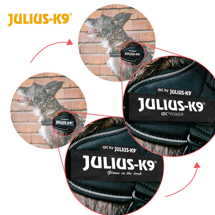 Dog Supplies Can Be Customized Towing Rope For Medium And Large Dogs