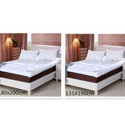 10cm Household Mattress Dormitory Soft Winter Warm