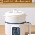 Smart model with steamer / US