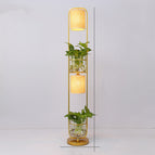 Gold / Without light source / 220V US