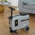 Advanced Silver / A lithium battery