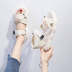 Beige / 35