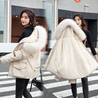 Beige / M